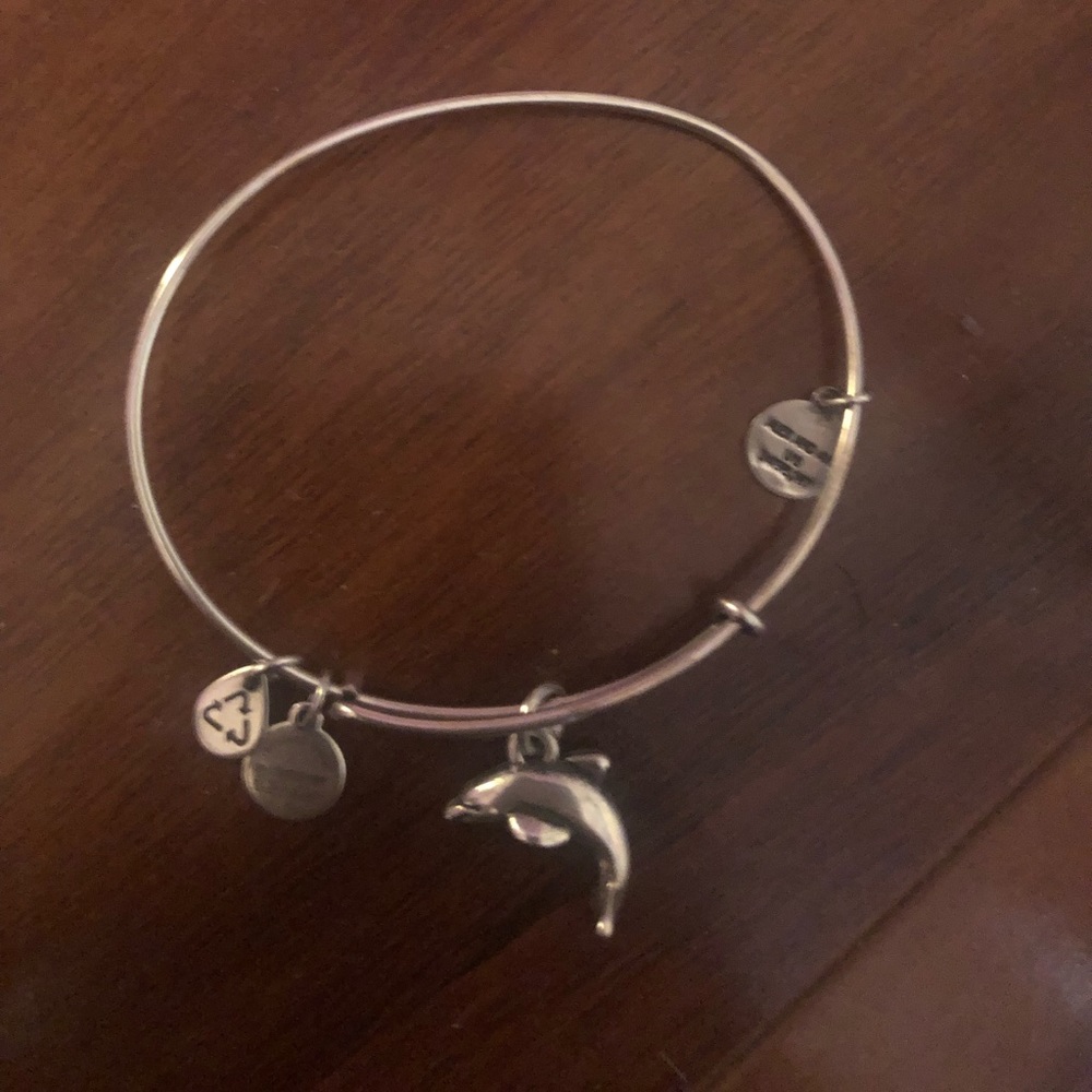 Dolphin Alex and Ani